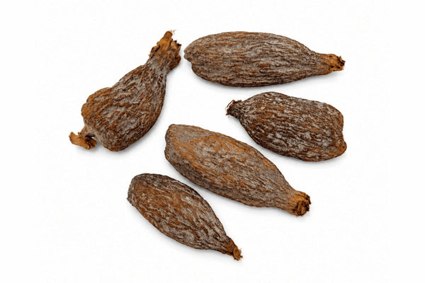 Whole dried alligator pepper pods