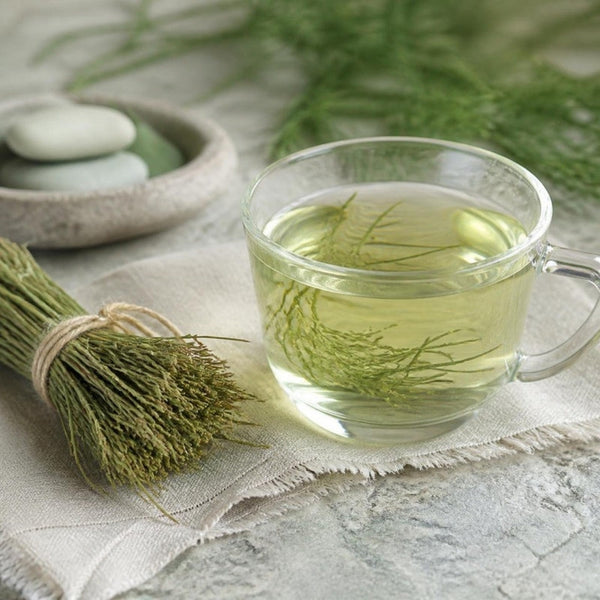 Glass of horsetail tea beside dried horsetail stems