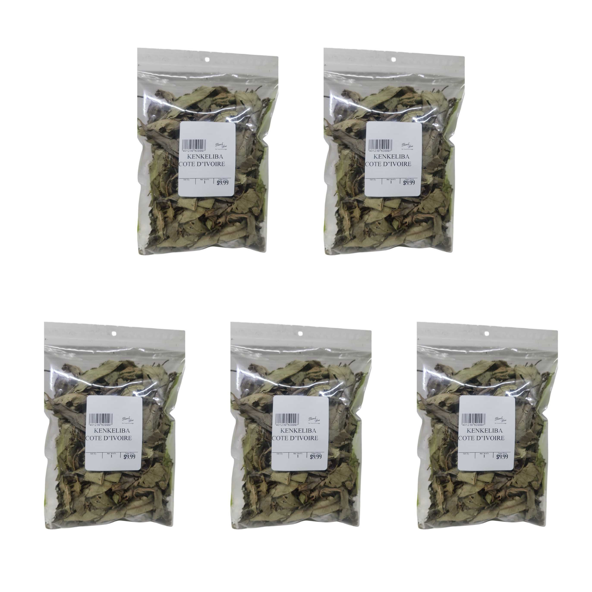 Large bag pack of 5 bags
