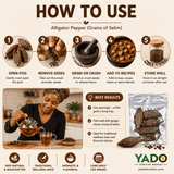 Alligator pepper (ose oji) used in kola nut ceremonies