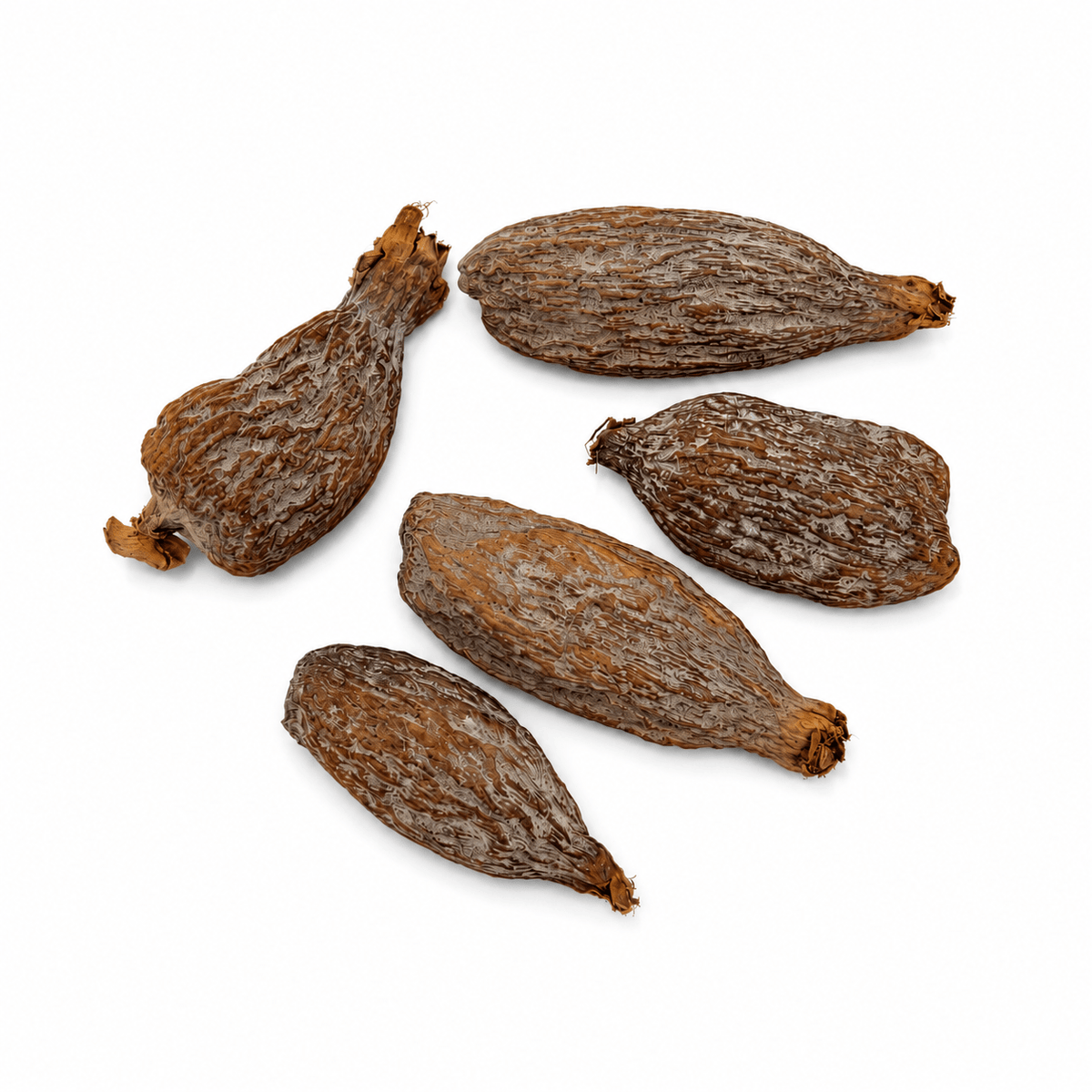 Whole alligator pepper pod opened to show seeds