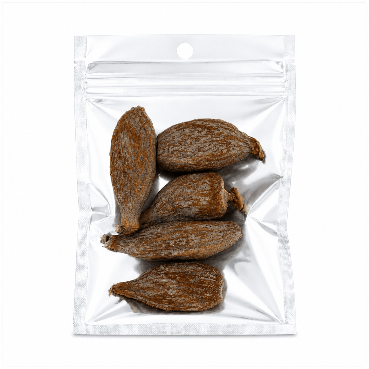 Alligator pepper (atare) whole dried pods, grains of paradise