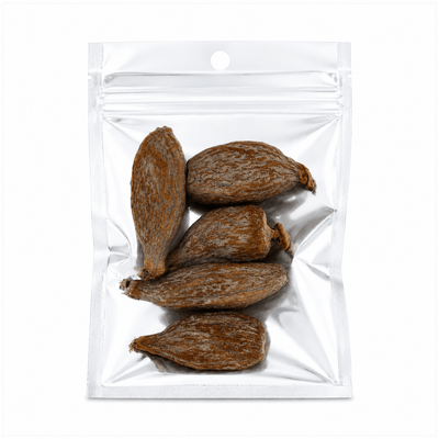 Alligator pepper pods (Aframomum melegueta), whole dried