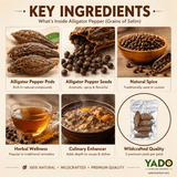 Dried alligator pepper pods, authentic Nigerian and Ghanaian spice