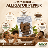 Alligator pepper pods in a bag, Yado African Market Chicago