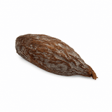 Alligator pepper seeds, grains of paradise, West African spice