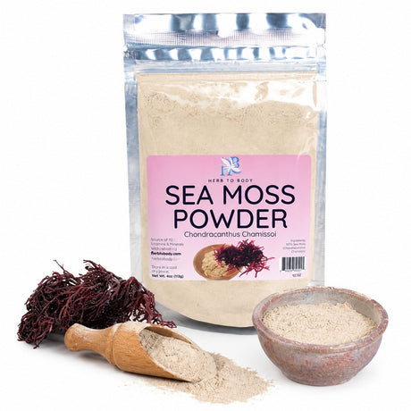Irish Sea Moss Powder | Premium 4 oz Superfood - Yado African & Caribbean Market