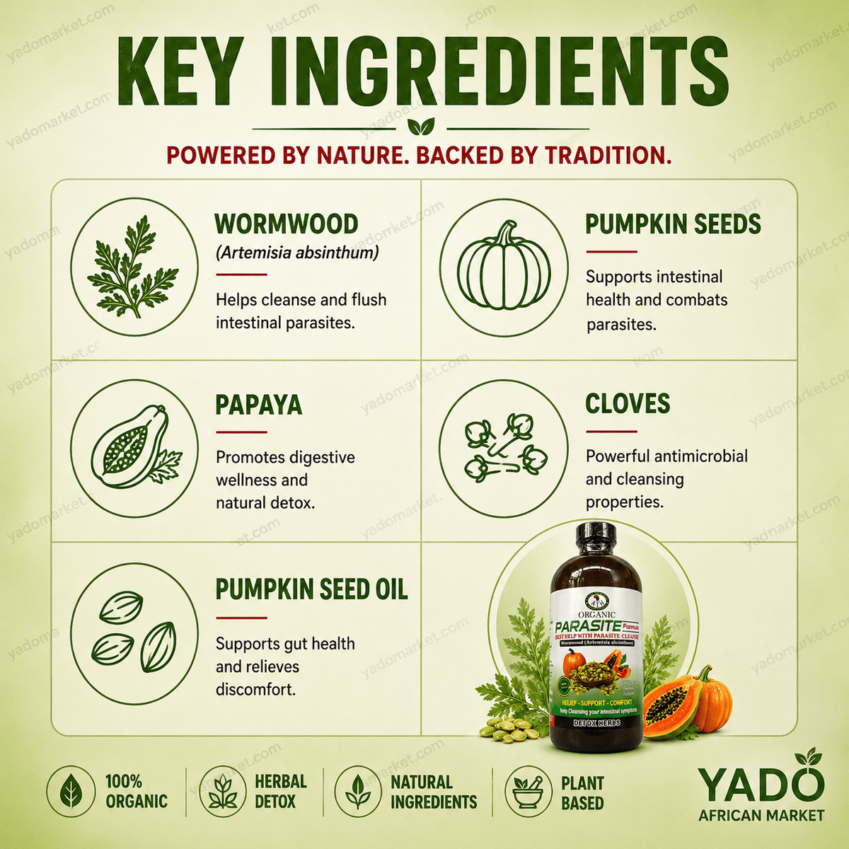 Parasite Cleanse – Herbal Detox & Digestive Support - Yado African & Caribbean Market