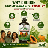 Parasite Cleanse – Herbal Detox & Digestive Support - Yado African & Caribbean Market