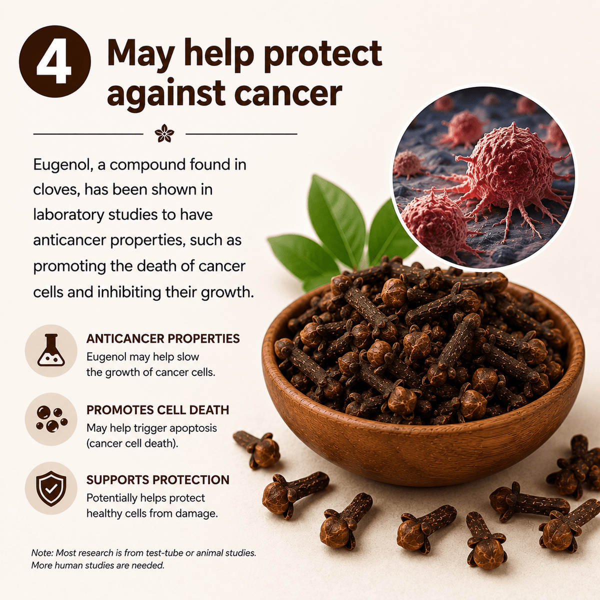 Whole Cloves, photo 5